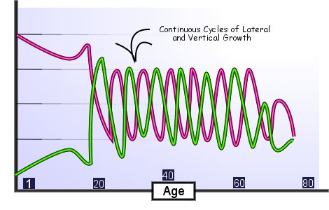 Graph of optimal growth for quality of life