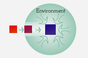 Catalyst Theory