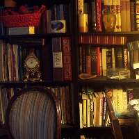 Bookshelf.png