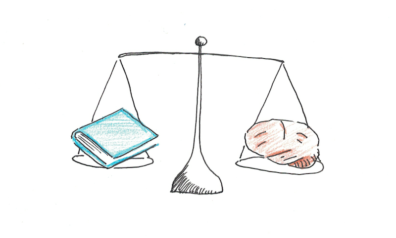 does the test measure intelligence or knowledge?