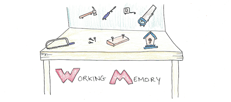 Working memory: How you keep things 'in mind' over the short term