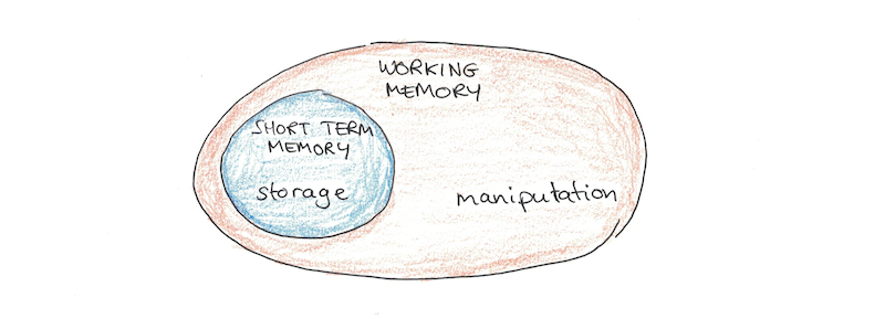 La coopération Restes Verger short term working memory Facturable Rire ...