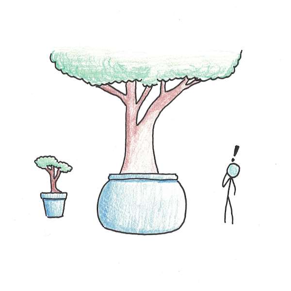 The height of a tree depends not just on the seed, but the size of the pot it was planted in.