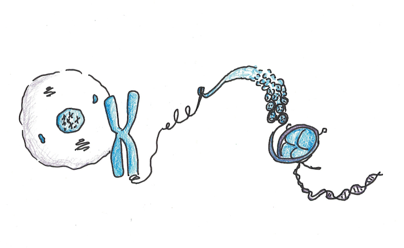 Draw it to Know it: New Medical & Biological Science Resources for Students and Instructors