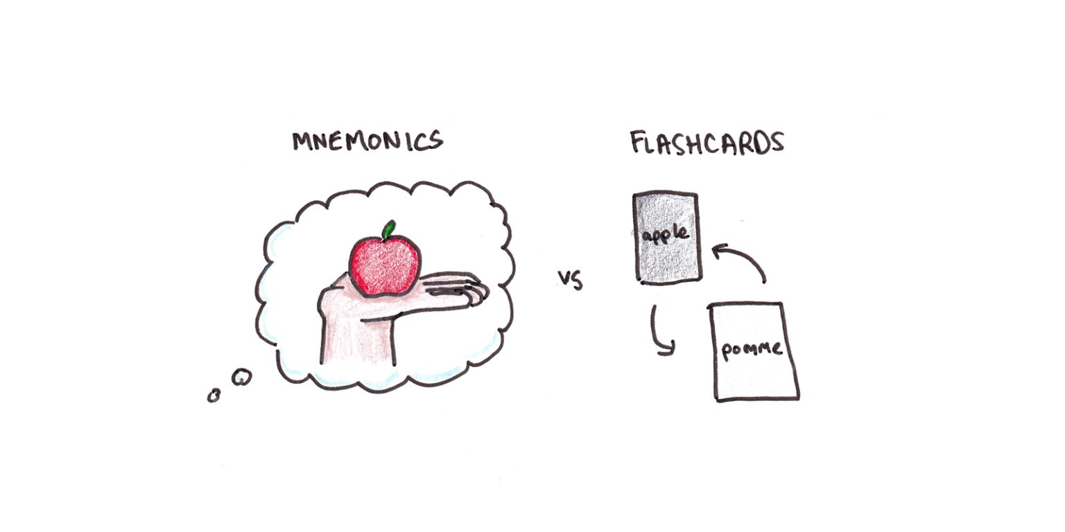 Why Flashcards Beat Mnemonics for Learning Nakedlydressed